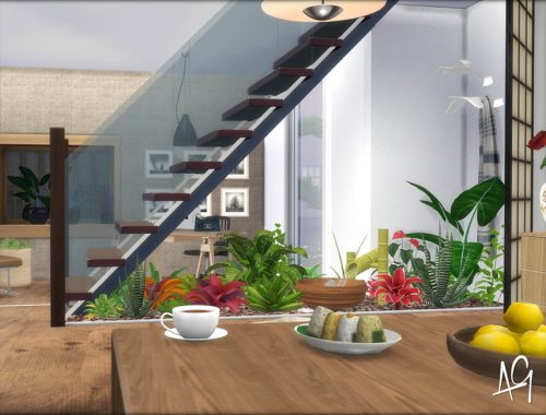 Zen Foyer