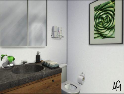 Zen Foyer