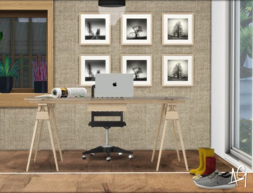 Zen Office (Room)