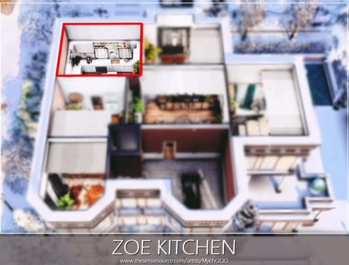 Zoe Kitchen