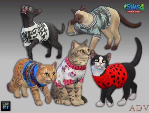 Pet Clothing