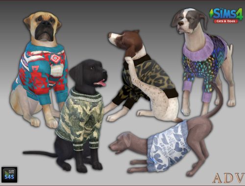 Pet Clothing