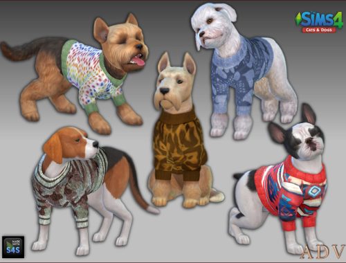 Pet Clothing