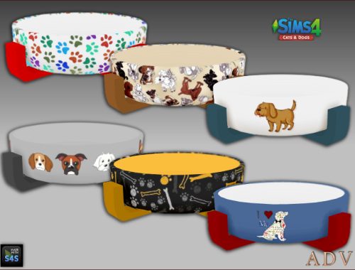 Dog Accessories