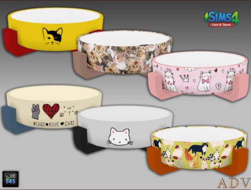 Cat Accessories