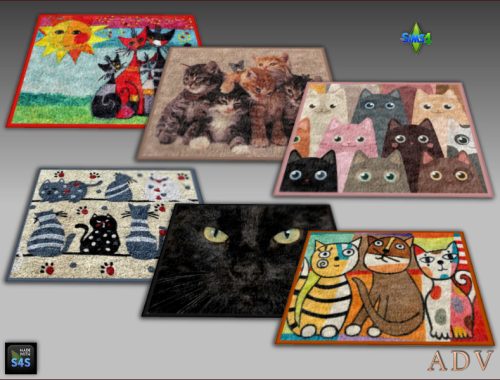 Cat Accessories