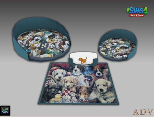 Dog Accessories
