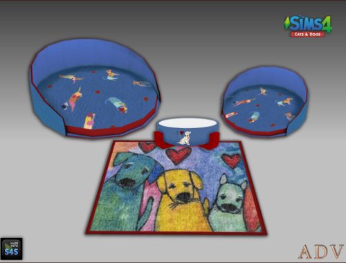 Dog Accessories