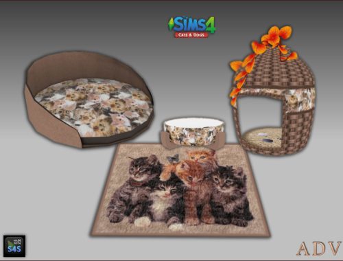 Cat Accessories