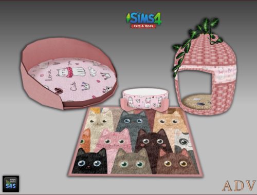 Cat Accessories