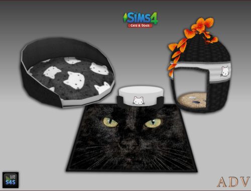 Cat Accessories