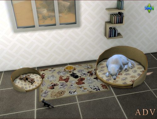 Dog Accessories