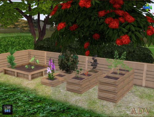 Plant Boxes And Fence