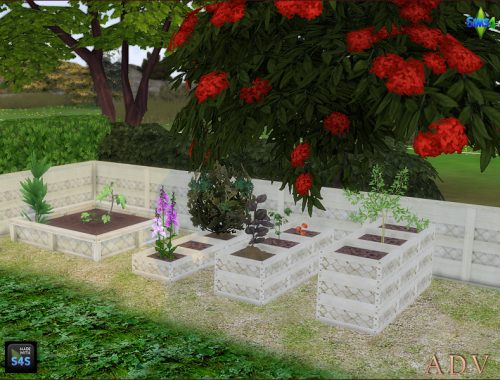 Plant Boxes And Fence