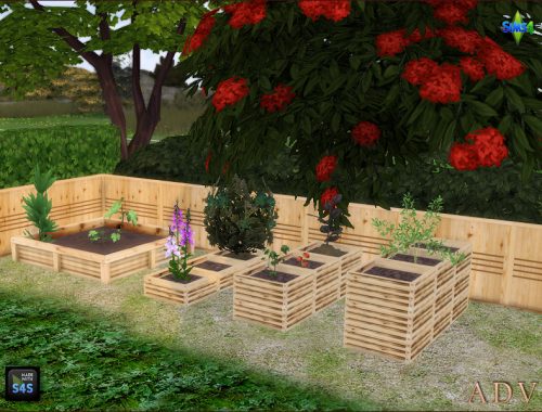 Plant Boxes And Fence