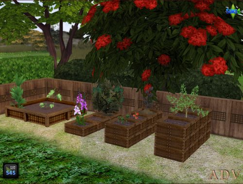 Plant Boxes And Fence