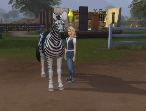 Zebra - Racing Stripes (Horse) | No CC