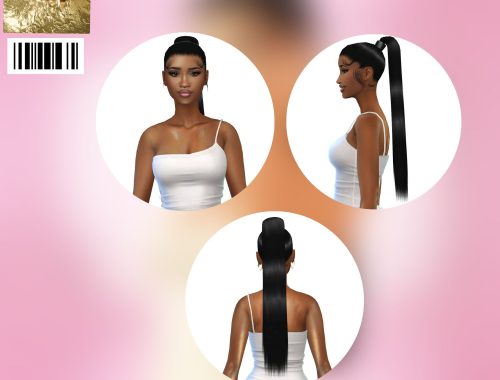 Lori High Ponytail
