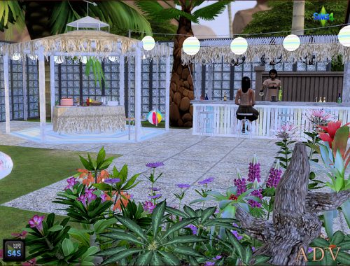 Beach Bar
