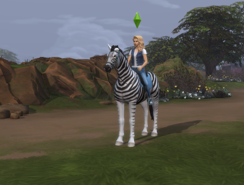 Zebra - Racing Stripes (Horse) | No CC