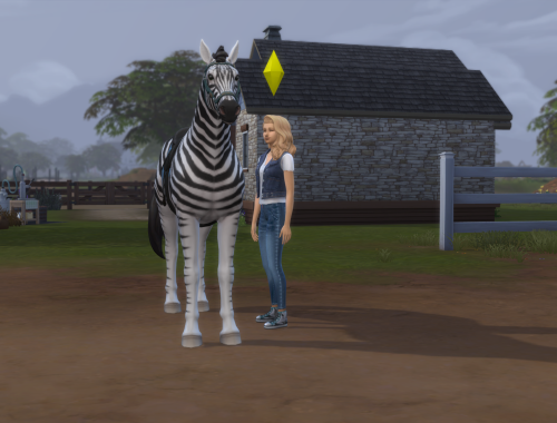 Zebra - Racing Stripes (Horse) | No CC