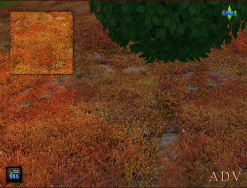 Terrain Paints