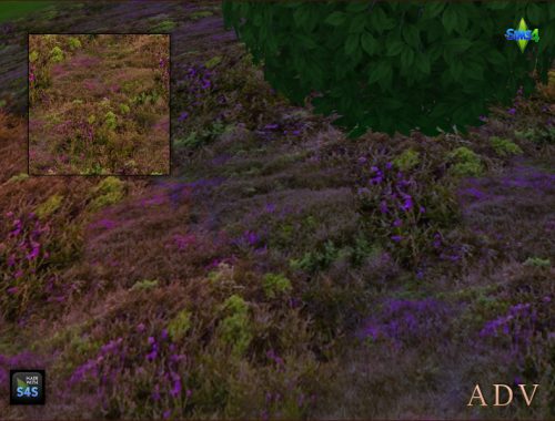 Terrain Paints
