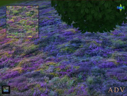 Terrain Paints