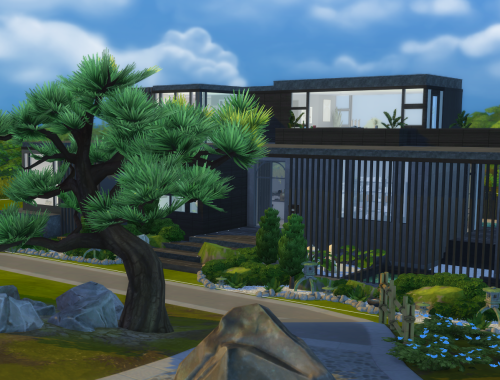 Modern Tranquility Home