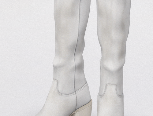 MiuMiu Cowgirl Western Long Boots