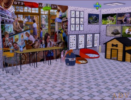 Walls Floors And Paintings For Shops