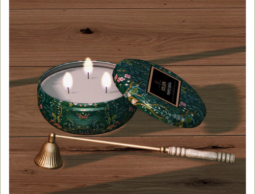 temple moss candle and candle snuffer