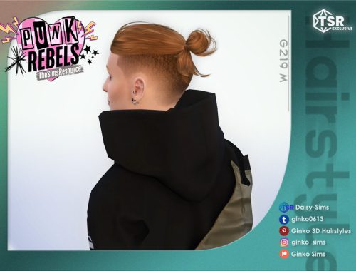 PUNK REBELS - Man Bun with Shaved Sides - Ginko 219