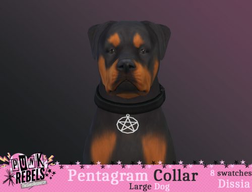 Pentagram Collar (Large Dog)