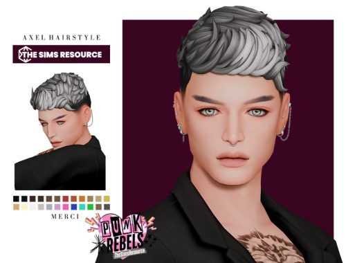 Punk Rebels - Axel Hairstyle