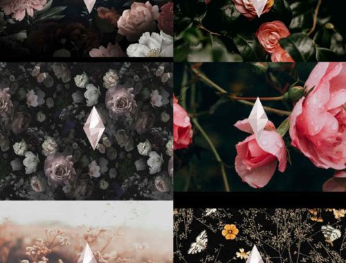 Astetic Flower Loading Screen