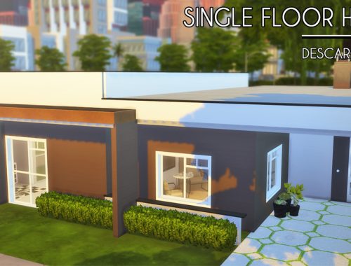 Single Floor House