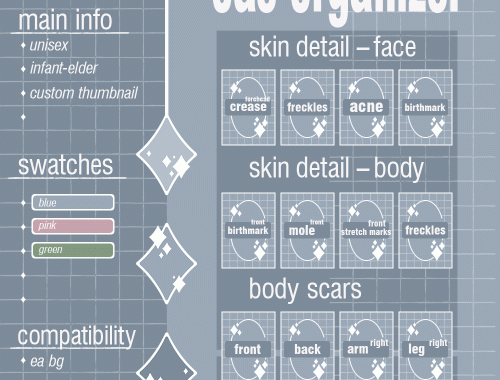 CAS Organizer Skin Detail