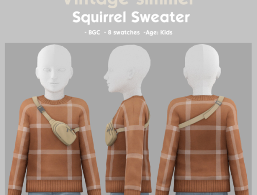 Squirrel Sweater By Vintage-simmer
