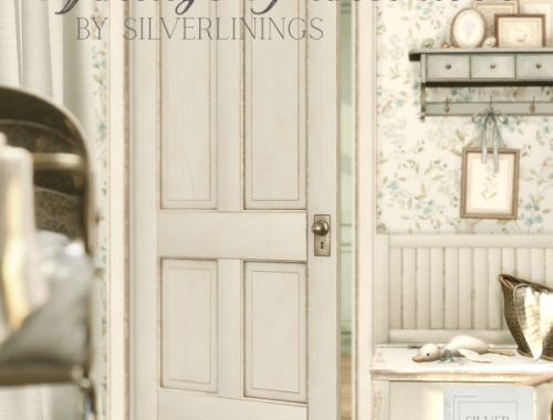 Silverlinings - Vintage Panel Door