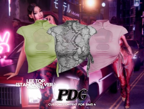 Pdg - Lee Top (standard Version)
