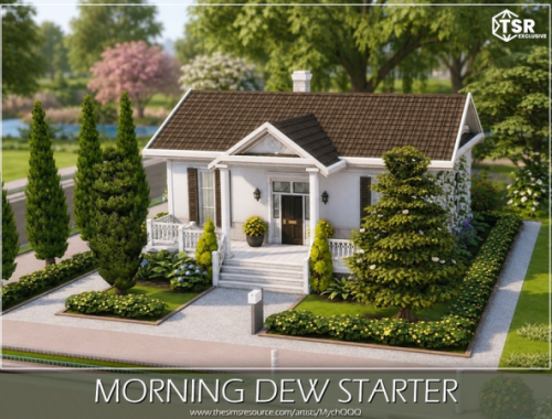 Morning Dew Starter
