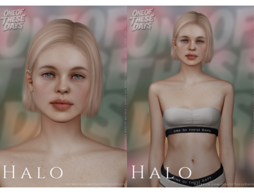 Halo - Skin/skinoverlay + Facemask, Blush, Lipstick, Face Shine, Details Color Slider & Tray Files / + Eyebrowcover Tool 2.0