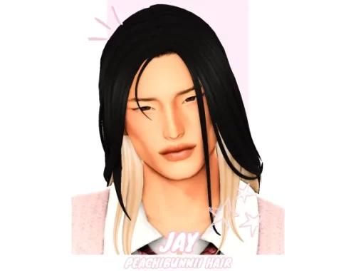 Jay Hair By Peachibunnii