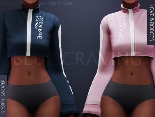 Blue Craving - Sporty Sweater