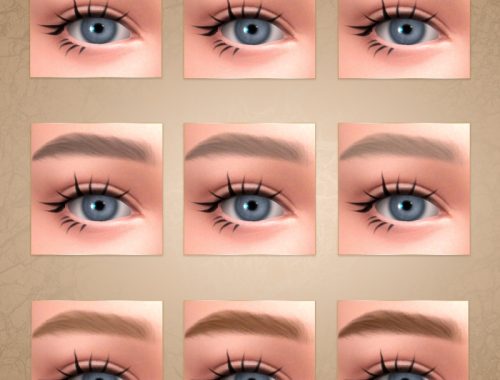 Brows 78 Hq