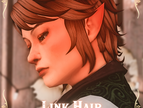 Link Hair