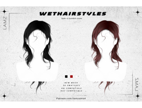 Lamz_wethairstyles_001f
