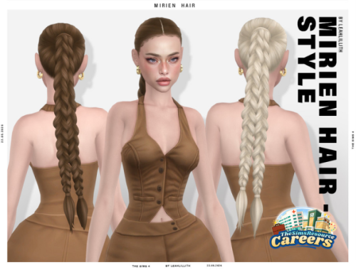 Careers Collection Mirien Double Braid Hairstyle