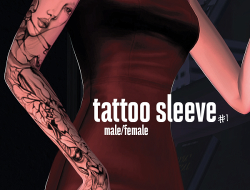 Tattoo Sleeve #1